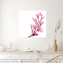 Plakat samoprzylepny Kwiaty magnolii na długiej gałązce