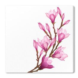 Kwiaty magnolii na długiej gałązce