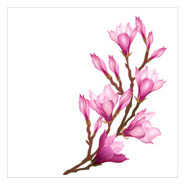 Plakat samoprzylepny Kwiaty magnolii na długiej gałązce