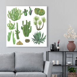 Obraz na płótnie Zestaw różnorodnych kaktusów - akwarela