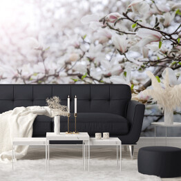 Fototapeta Kwiaty drzewa magnolii