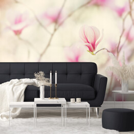 Fototapeta Kwiat magnolii kwitnący wiosną