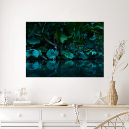 Plakat Tropikalny las deszczowy 