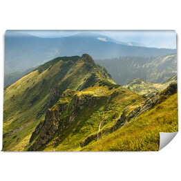 Fototapeta samoprzylepna Piękny krajobraz gór latem, widok na klify i zielone wzgórza