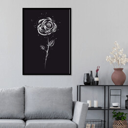 Plakat w ramie Biała róża na czarnym tle