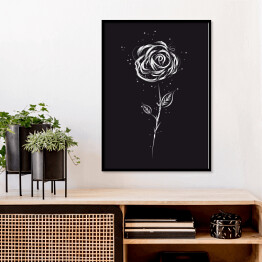Plakat w ramie Biała róża na czarnym tle