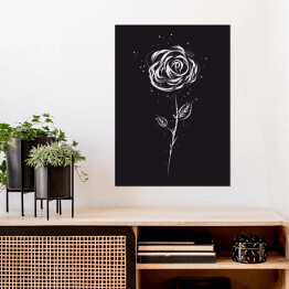 Plakat Biała róża na czarnym tle