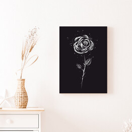 Obraz na płótnie Biała róża na czarnym tle