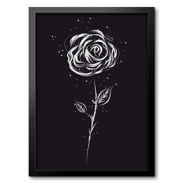 Obraz w ramie Biała róża na czarnym tle