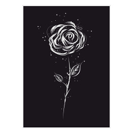 Plakat samoprzylepny Biała róża na czarnym tle