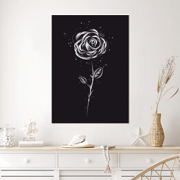 Plakat samoprzylepny Biała róża na czarnym tle
