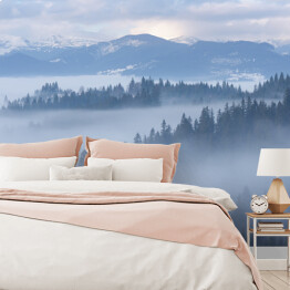 Fototapeta samoprzylepna Góra krajobraz z jedlinowym lasem i mgłą