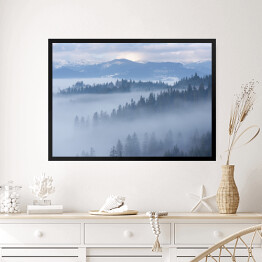 Obraz w ramie Góra krajobraz z jedlinowym lasem i mgłą