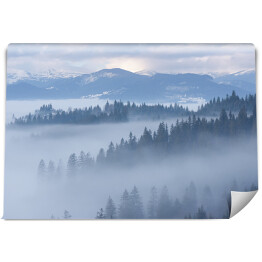 Fototapeta winylowa zmywalna Góra krajobraz z jedlinowym lasem i mgłą