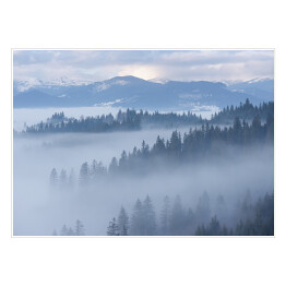 Plakat Góra krajobraz z jedlinowym lasem i mgłą