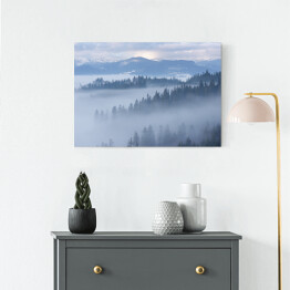 Obraz na płótnie Góra krajobraz z jedlinowym lasem i mgłą