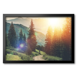 Obraz w ramie Droga między drzewami na tle gór podczas wschodu słońca