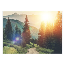Plakat samoprzylepny Droga między drzewami na tle gór podczas wschodu słońca