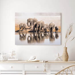 Obraz na płótnie Afrykańskie słonie pijące wodę w Parku Narodowym Etosha, Namibia, Afryka
