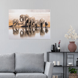 Plakat Afrykańskie słonie pijące wodę w Parku Narodowym Etosha, Namibia, Afryka