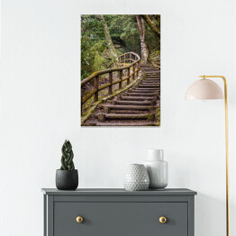 Plakat samoprzylepny Park Japoński - szlak i drewniane schody