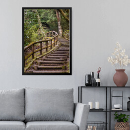 Obraz w ramie Park Japoński - szlak i drewniane schody