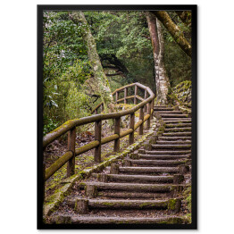 Plakat w ramie Park Japoński - szlak i drewniane schody