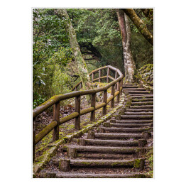 Plakat Park Japoński - szlak i drewniane schody