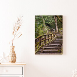 Obraz na płótnie Park Japoński - szlak i drewniane schody
