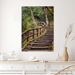 Plakat samoprzylepny Park Japoński - szlak i drewniane schody