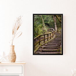 Obraz w ramie Park Japoński - szlak i drewniane schody