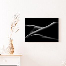 Obraz na płótnie Artystyczne czarno-białe zdjecie nagiej kobiety - nogi
