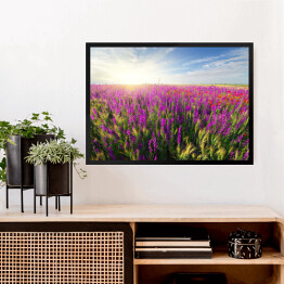 Obraz w ramie Fioletowe wiosenne kwiaty na łące 