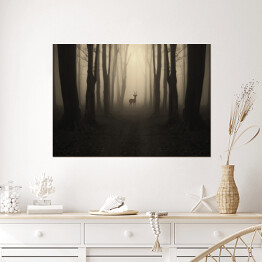 Plakat samoprzylepny Jeleń na ścieżce w lesie o zmierzchu
