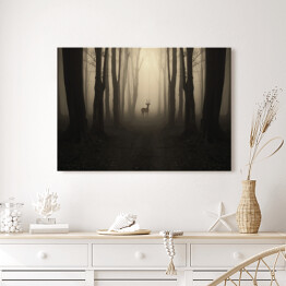 Obraz na płótnie Jeleń na ścieżce w lesie o zmierzchu