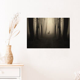 Plakat Jeleń na ścieżce w lesie o zmierzchu