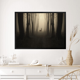 Obraz w ramie Jeleń na ścieżce w lesie o zmierzchu