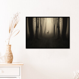 Plakat w ramie Jeleń na ścieżce w lesie o zmierzchu