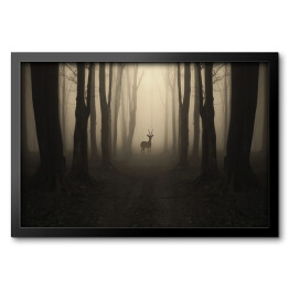 Obraz w ramie Jeleń na ścieżce w lesie o zmierzchu