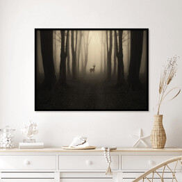 Plakat w ramie Jeleń na ścieżce w lesie o zmierzchu
