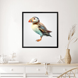 Obraz w ramie Malowany jasny ptak z kolorowym dziobem na białym tle