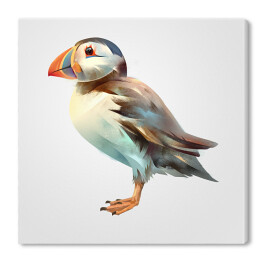 Obraz na płótnie Malowany jasny ptak z kolorowym dziobem na białym tle