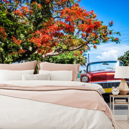 Fototapeta winylowa zmywalna Czerwony kabriolet zaparkowany na bocznym pasie w Varadero na Kubie 