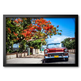 Obraz w ramie Czerwony kabriolet zaparkowany na bocznym pasie w Varadero na Kubie 