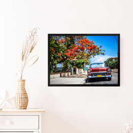 Obraz w ramie Czerwony kabriolet zaparkowany na bocznym pasie w Varadero na Kubie 