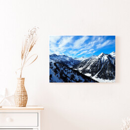 Obraz na płótnie Śnieżne góry z drzewami iglastymi