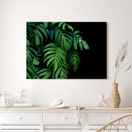 Obraz na płótnie Dzikie palmowe liście