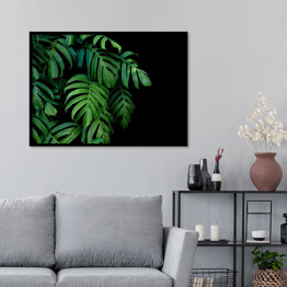 Plakat w ramie Dzikie palmowe liście