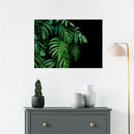 Plakat samoprzylepny Dzikie palmowe liście
