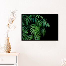 Plakat w ramie Dzikie palmowe liście